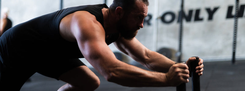 Discover the Best Creatine Supplements in New Zealand