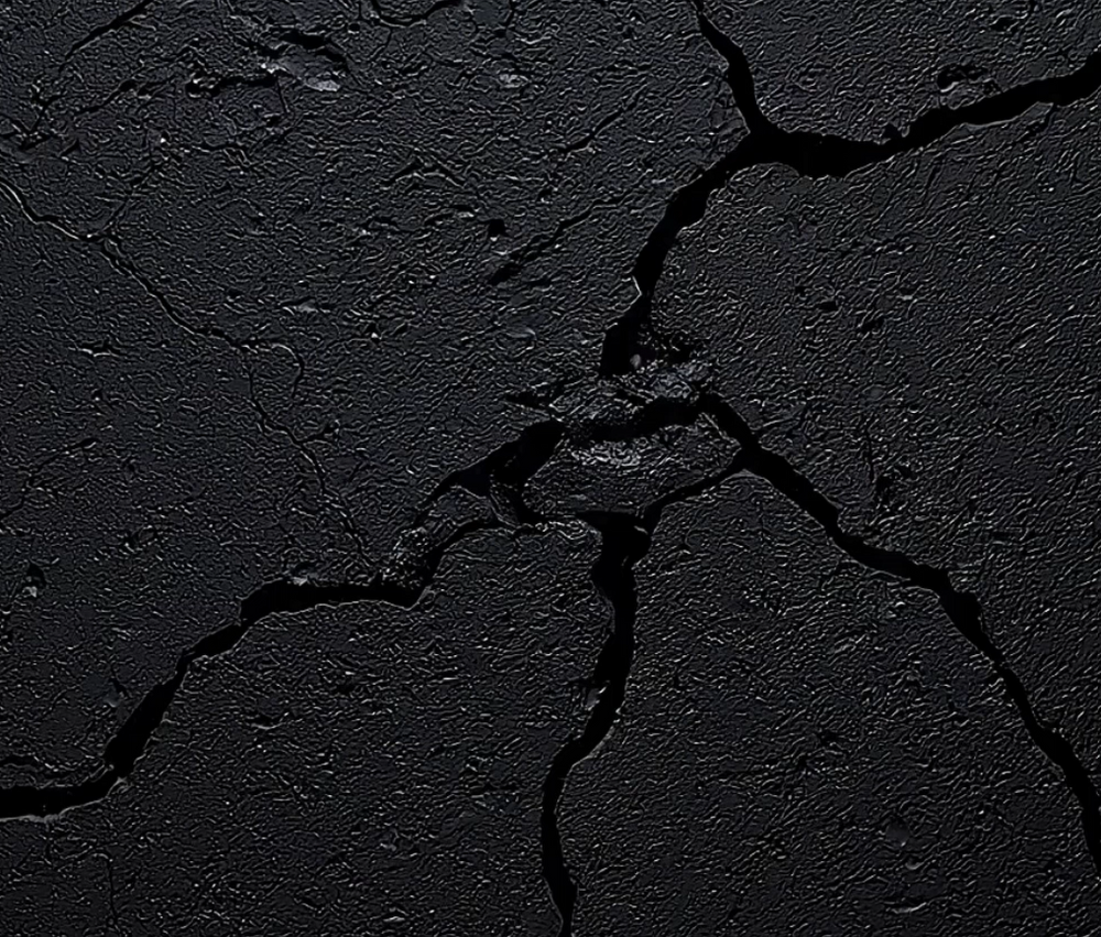 Video fallback image