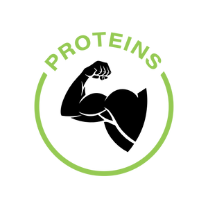 Protein