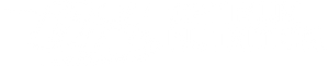 Optimum Nutrition Logo - White
